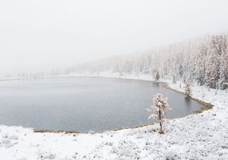 Der Schnee kommt: Wintereinbruch am Dienstag!