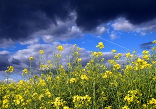 Der schöne Maisommer ist vorbei!