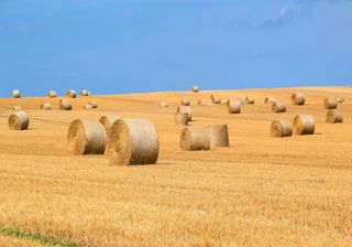 Der Sommer 2018 geht weiter: Stabiles Spätsommerhoch in Sicht!
