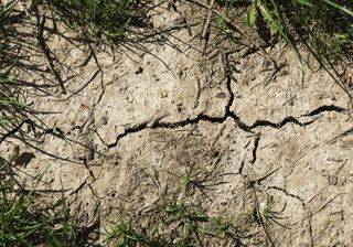 Der Sommer 2018 wird heiß und trocken!