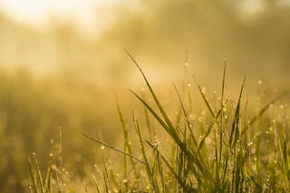 Der Taupunkt ist ein wahres Multitalent beim Wetter