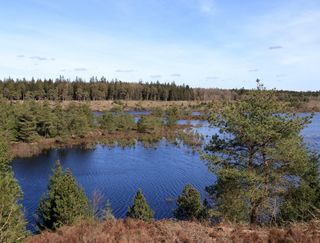 Alarm für die Weltbevölkerung: Der Wasserschwund auf der Erde schreitet weiter voran