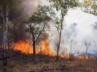 Dérèglement climatique : la France va-t-elle s'embraser chaque été ?