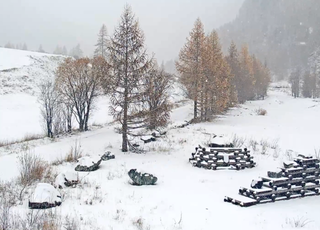 Dernière minute : les images des chutes de neige qui ont touché la France ! La neige va-t-elle continuer de tomber ?