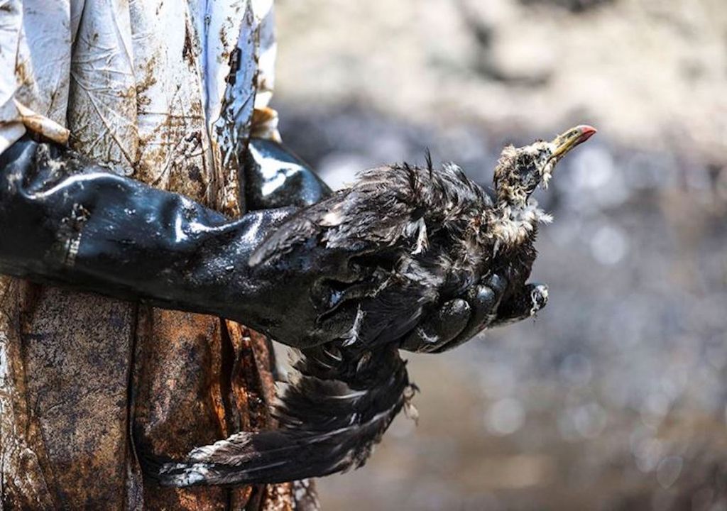 Derrame de petróleo en Peru
