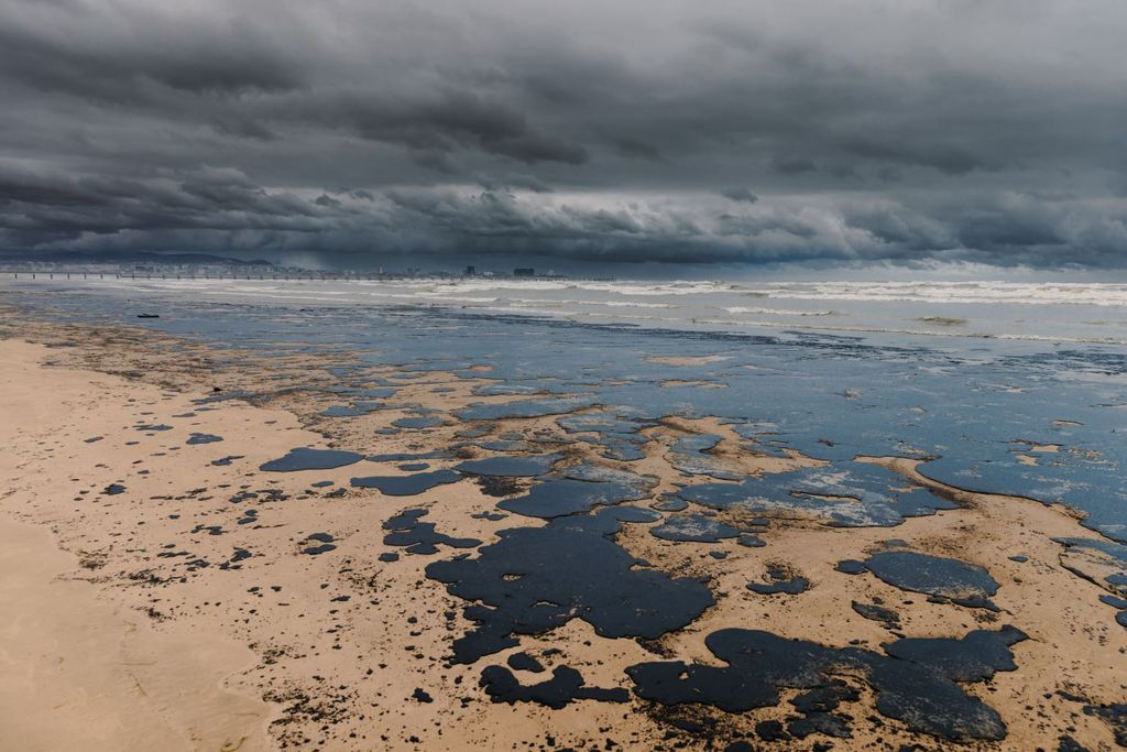 Los derrames afectan todo el ecosistema lo cual perjudica gravemente la vida marina y la pesca.