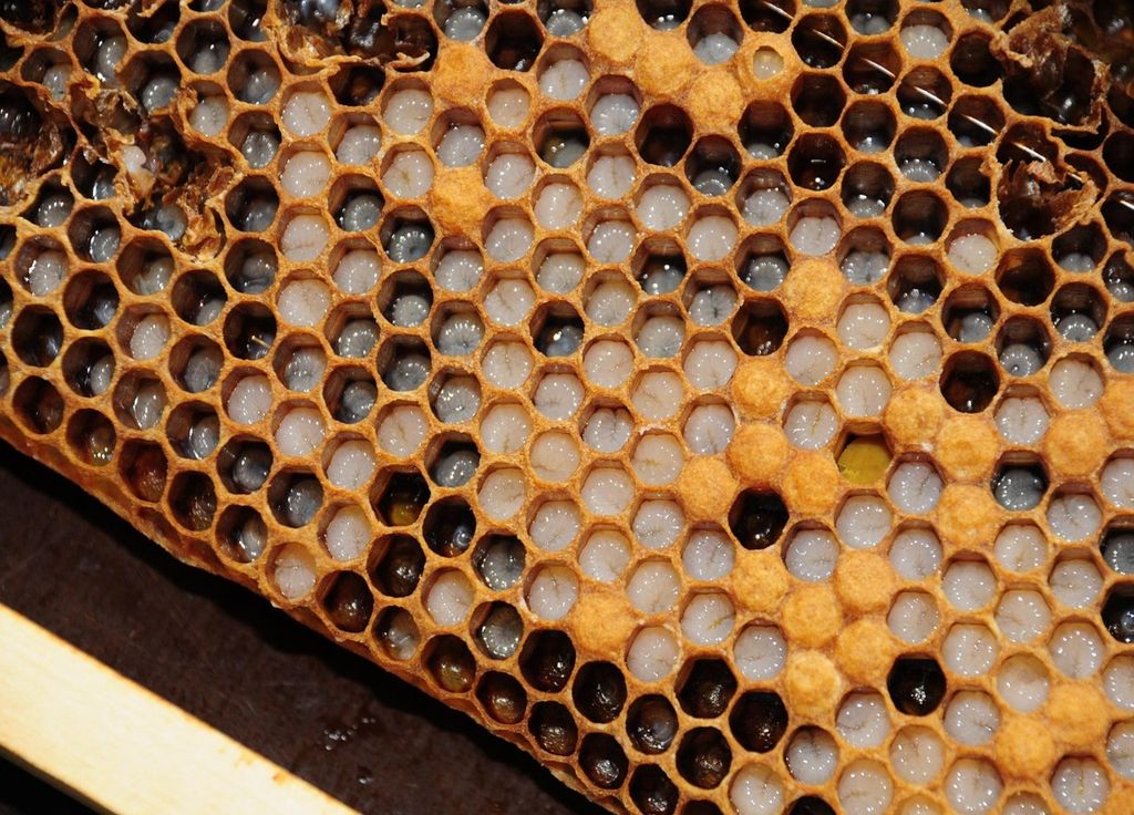 Un filtre ressemblant à un nid d'abeilles