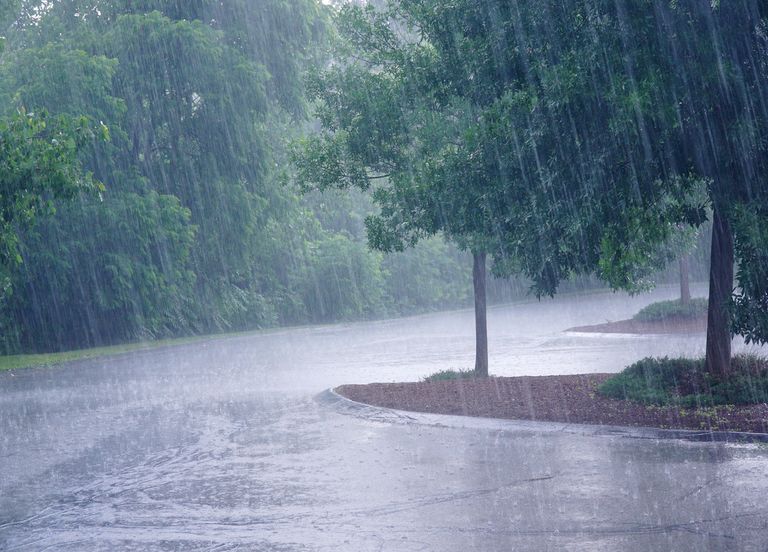 Météo : dès ce samedi, cumuls de pluie parfois importants et vents soutenus Météo : dès ce samedi, cumuls de pluie parfois importants et vents soutenus