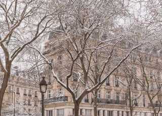 Dès ce samedi, de la neige pourra tomber sur Paris avant le verglas ! Voici les prévisions météo en France