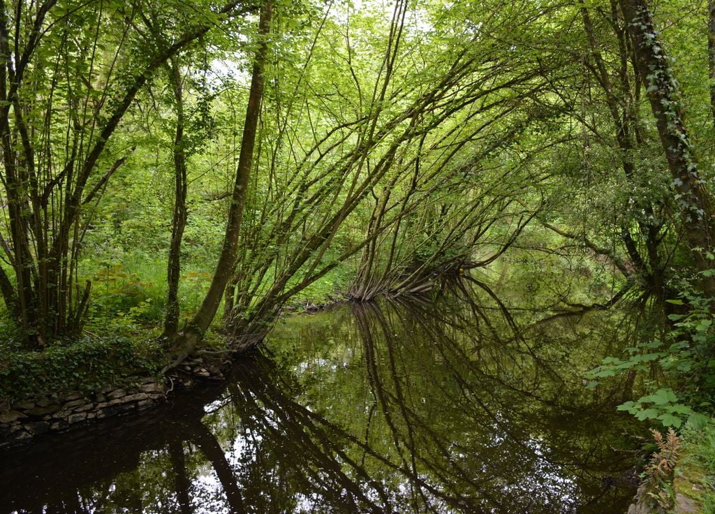 Ces marais ont été classés Natura 2000.