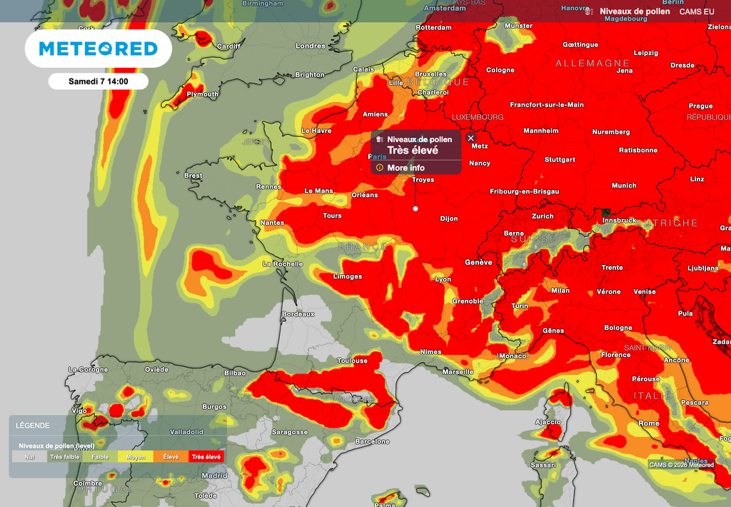 Un après-midi de samedi sous les pollens !