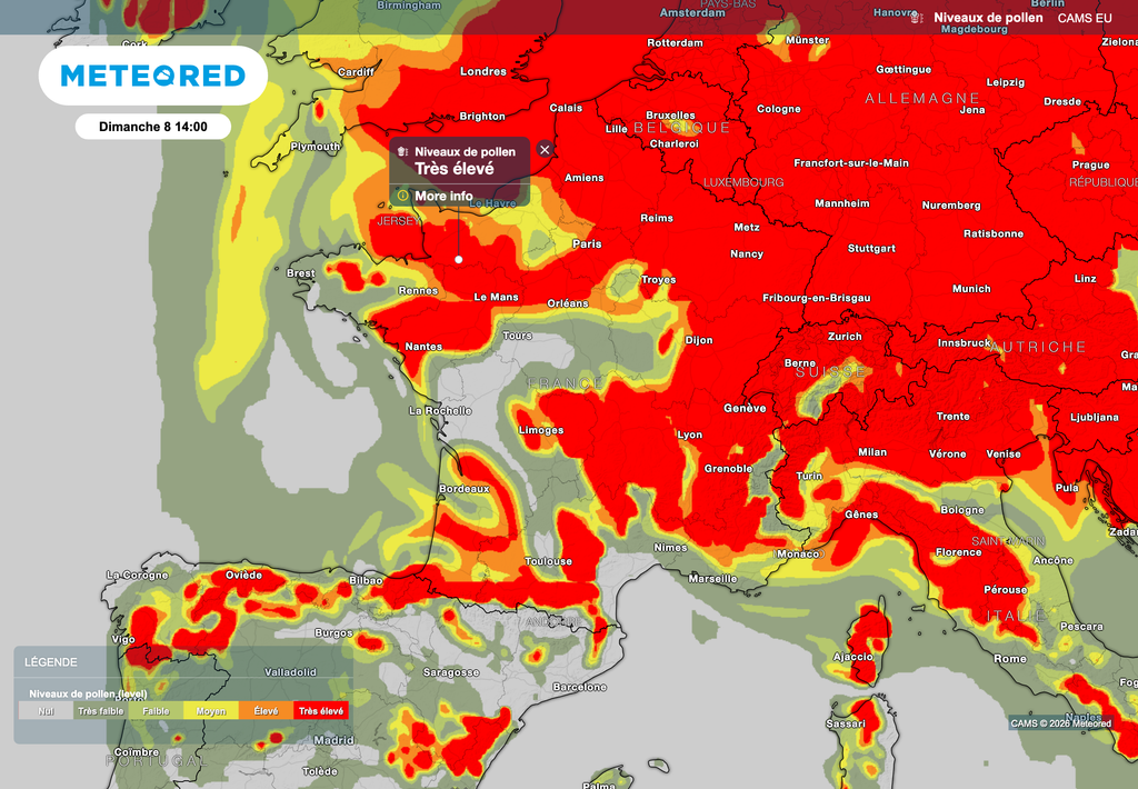 Des pollens très présents demain dimanche !