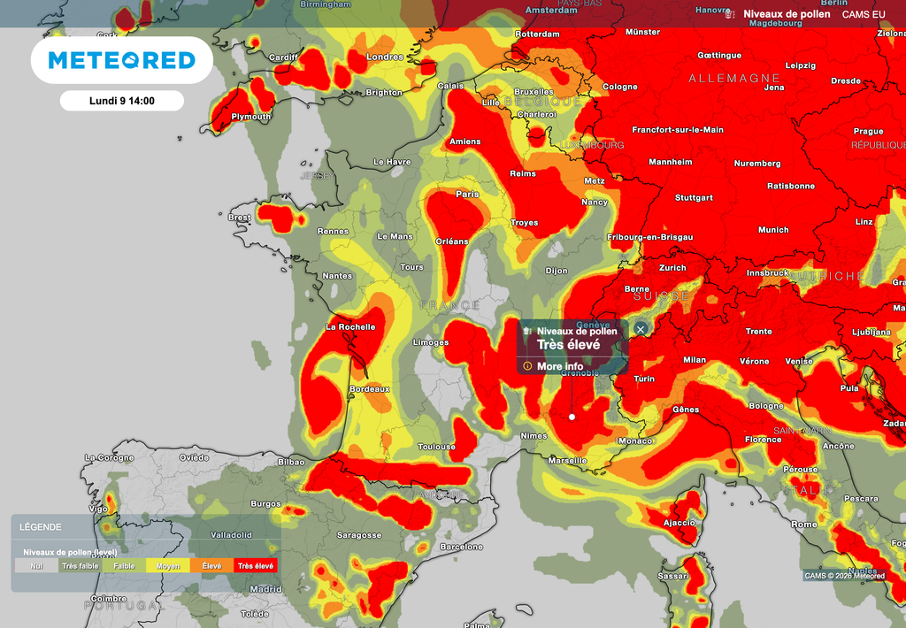 Un peu moins de pollens la semaine prochaine.
