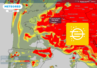 M&eacute;t&eacute;o : des pollens encore tr&egrave;s pr&eacute;sents en France ! &Agrave; quand une baisse des concentrations ?
