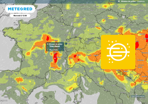 Des pollens sont encore observ&eacute;s sur la France ! D&eacute;couvrez les pr&eacute;visions m&eacute;t&eacute;o