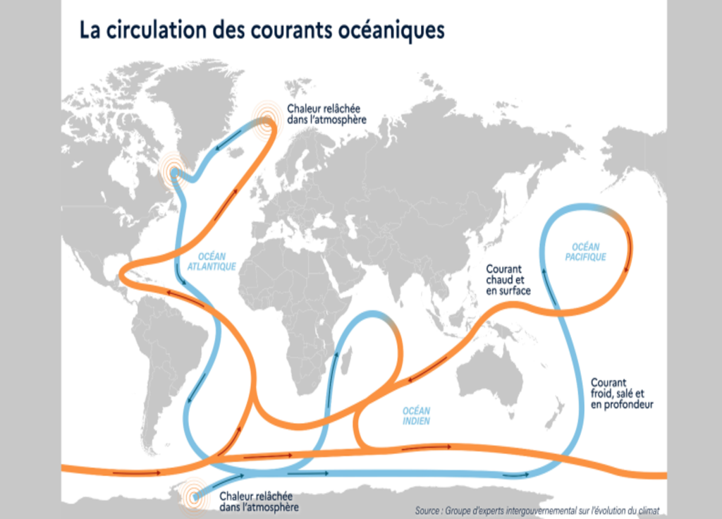 Carte de la circulation des courants océaniques. Source : GIEC.