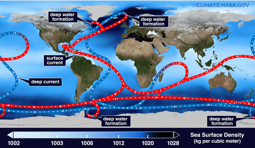 Conceptual image of global ocean circulations today. POT