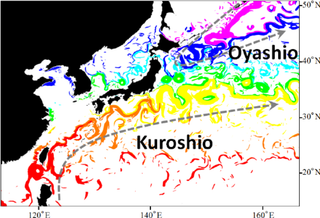 ¿Se está desacelerando la corriente cálida del Kuroshio al igual que la corriente del Golfo?