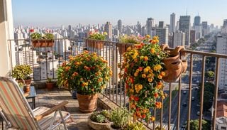 Desaf&iacute;a a los cl&aacute;sicos: la planta camale&oacute;nica que conquista balcones y terrazas a puro color y resistencia