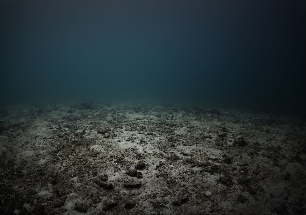 Fondo marino Fondo marino