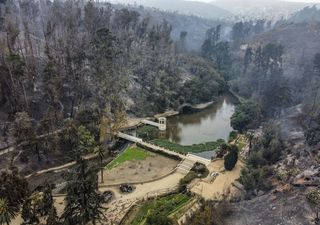 Desaparece el pulmón verde de Viña del Mar: desgracia humana y medioambiental en el Jardín Botánico Nacional