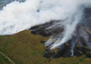 Desarrollan escuadrillas de drones inteligentes para apagar incendios forestales