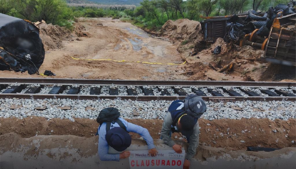 Las autoridades tomaron diversas acciones para atender la situación. Imagen @PROFEPA_Mx