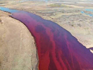 Desastre ecológico por derrame de petróleo en el Círculo Polar Ártico