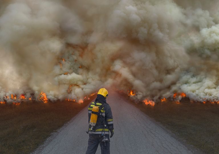 Incendio forestal y bombero Incendio forestal y bombero