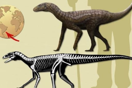Descoberta de f&oacute;ssil misterioso no Sul do Brasil pode revelar a origem dos dinossauros