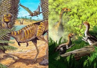 Ecco come i dinosauri del Brasile e della Mongolia hanno sviluppato strategie simili per sopravvivere nel deserto