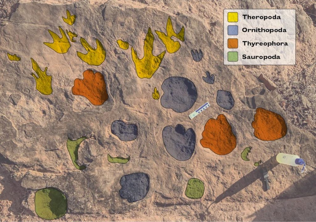 paleontología paleontología