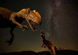 Descoberta Jurássica em Torres Novas: o mistério das pegadas de dinossauro foi revelado