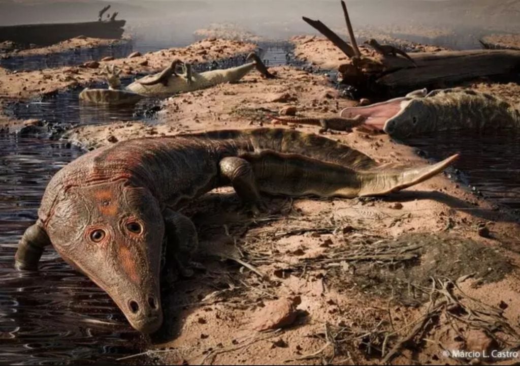 Scoperto in Brasile un nuovo tipo di anfibio gigante più antico dei dinosauri!