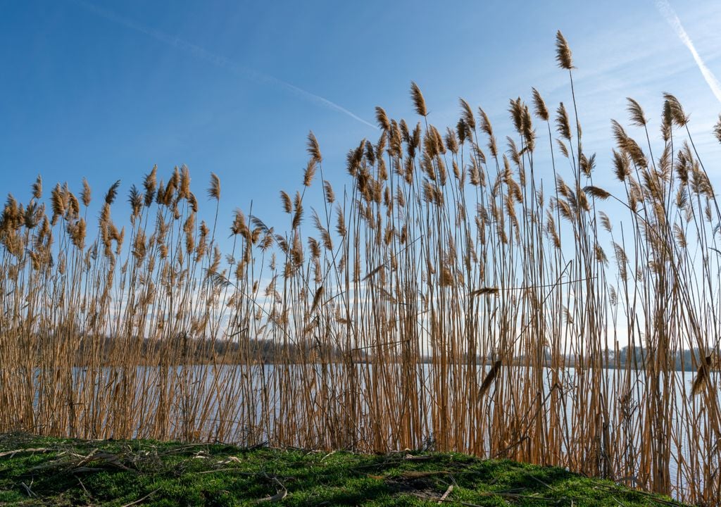 Este estudo piloto abrangeu apenas uma pequena parte do lago, mas Zhdanov acredita que a sua equipa pode realizar levantamentos eletromagnéticos aerotransportados que abrangem toda a área de 2400 km² do lago.