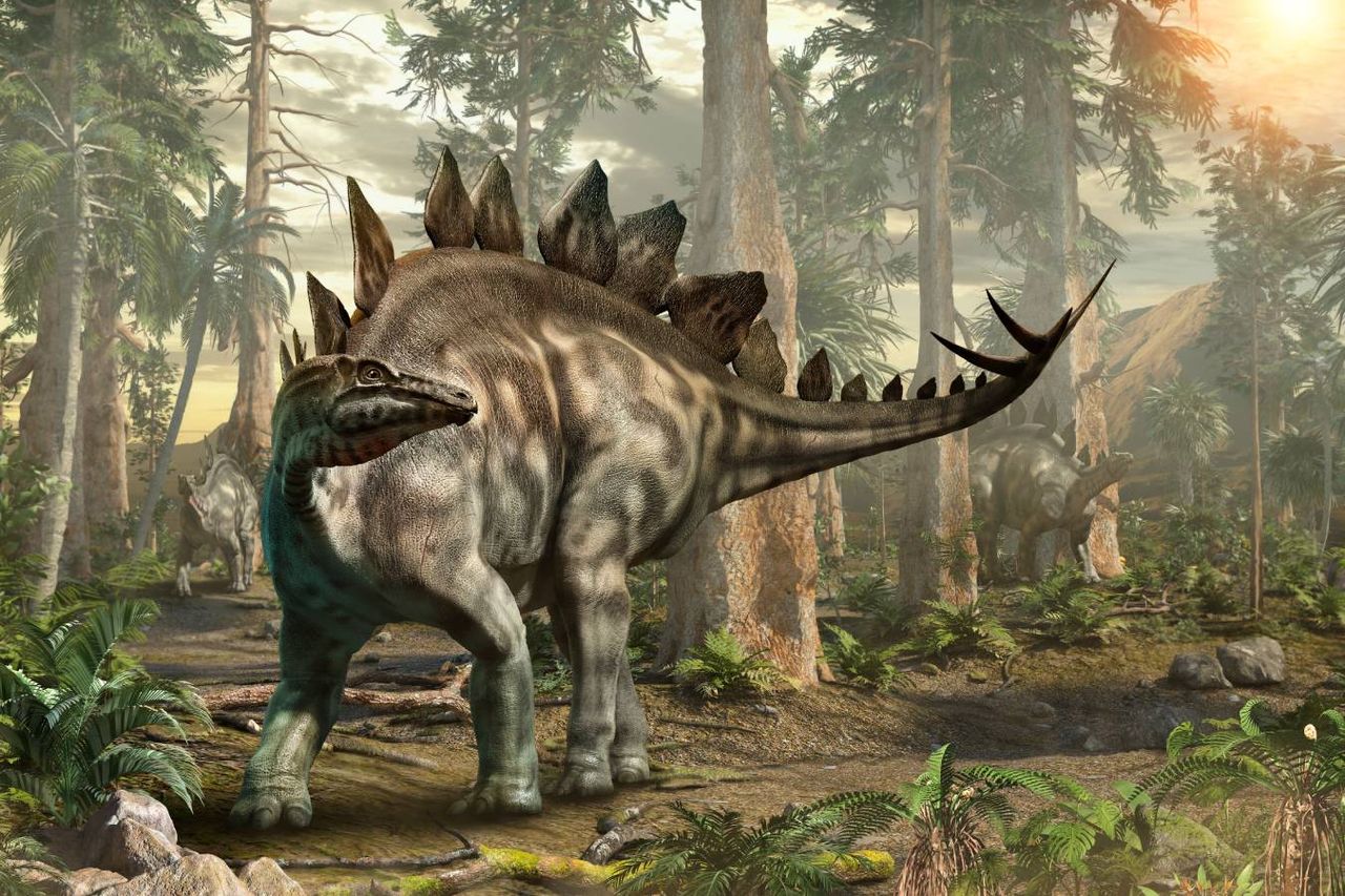 Os estegossauros eram grandes herbívoros quadrupedes que habitaram a Terra entre o Jurássico Médio e o Cretáceo Superior.