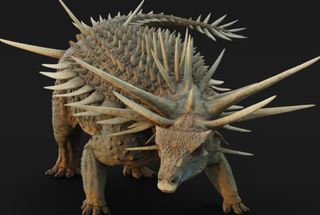 Descoberto no Marrocos o fóssil mais antigo de anquilossauro já registrado