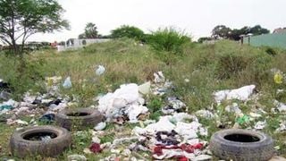 Descontaminación ecológica de suelos a cargo de un proyecto europeo