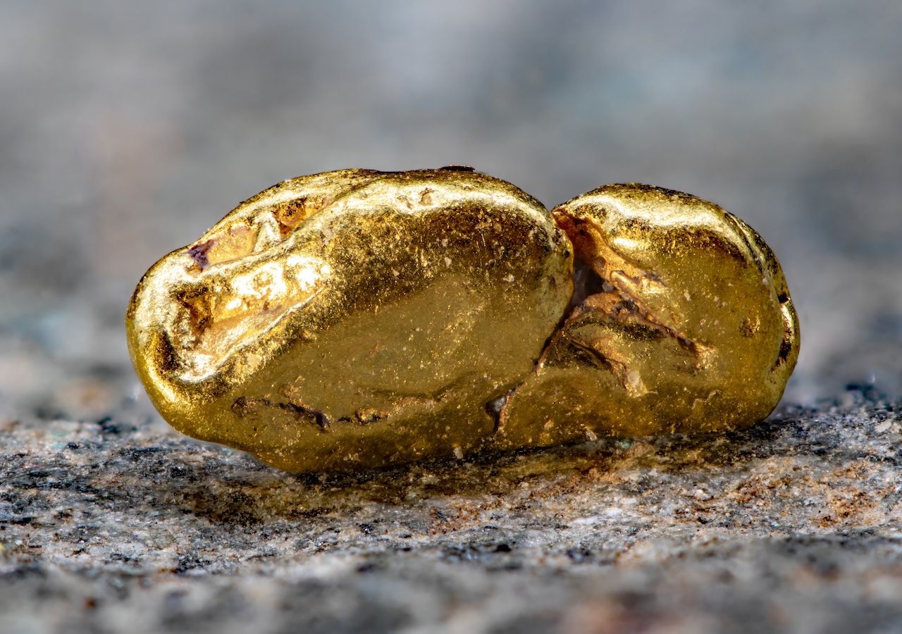 Descubrimos bacterias capaces de transformar un compuesto natural en oro de 24 quilates