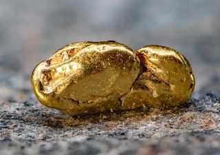 Descubren una bacteria que consigue convertir compuestos naturales en oro de 24 quilates