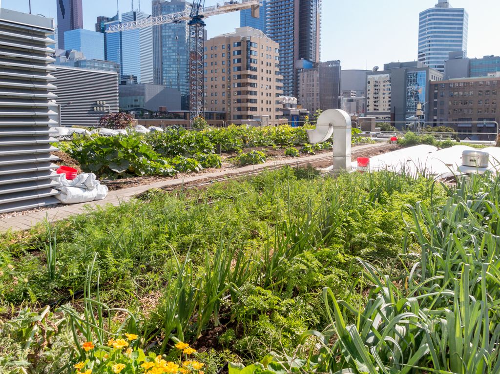 Brasil, USP, ilhas de calor