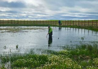 Descubra o que são estes pequenos, mas poderosos oásis de biodiversidade que a chuva trouxe no Alentejo