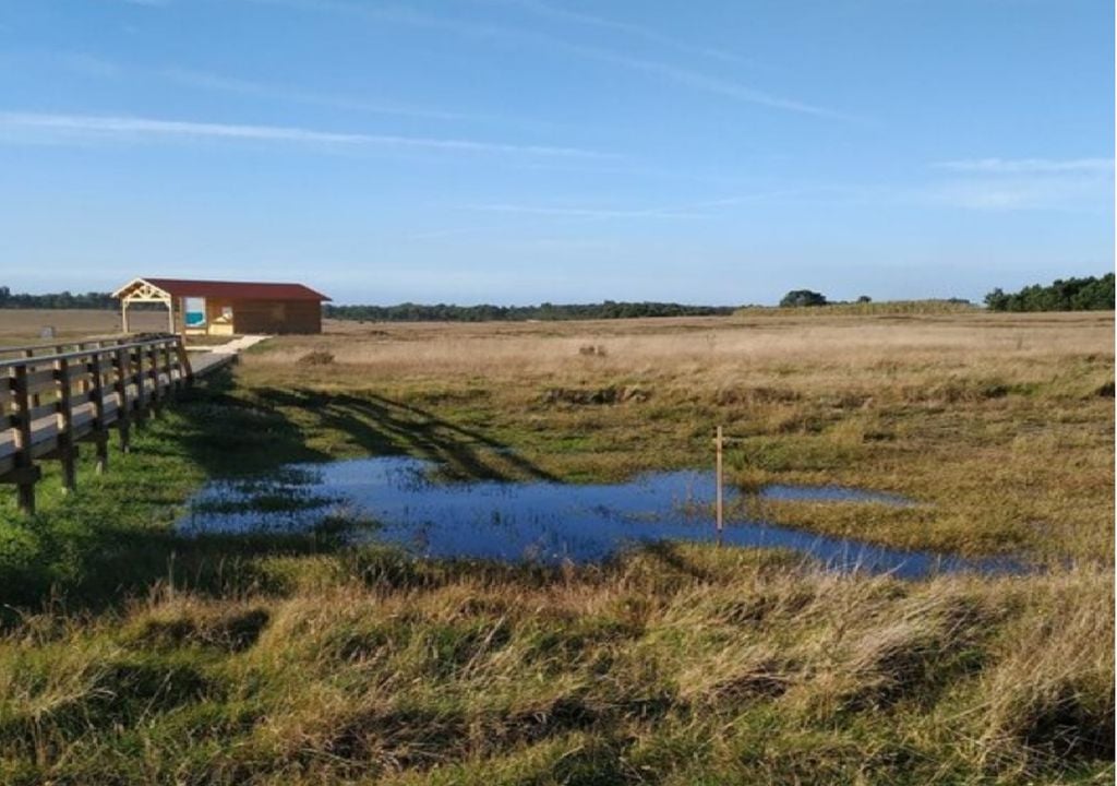 Os charcos temporários são superfícies de pequena dimensão consideradas prioritárias para a conservação da biodiversidade à escala europeia. Foto: Município de Odemira