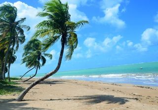 Descubra São Miguel dos Milagres: destino ideal para quem busca praias paradisíacas e sustentabilidade