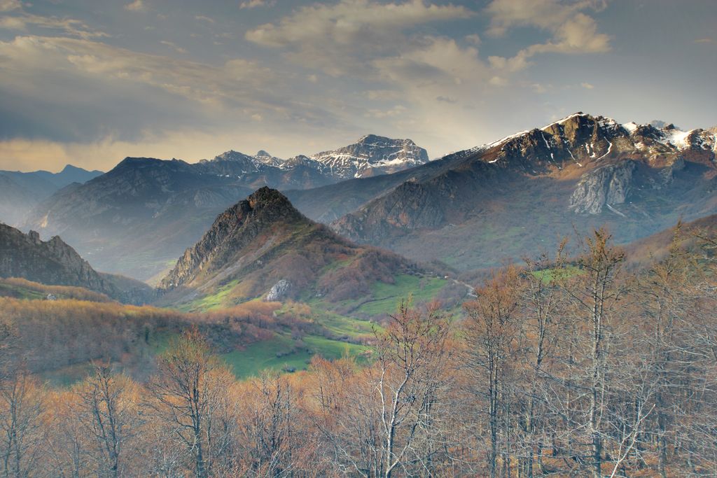 Les monts Cantabriques sont l'un des endroits où l'on trouve la plus grande population du plus grand animal d'Espagne, comme dans cette zone des Pics d'Europe, dans les Asturies.