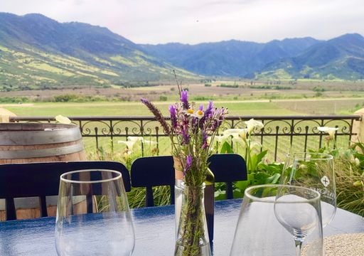 Descubre la Vi&ntilde;a Santa Cruz: un viaje inolvidable entre vinos, culturas ancestrales y autos antiguos