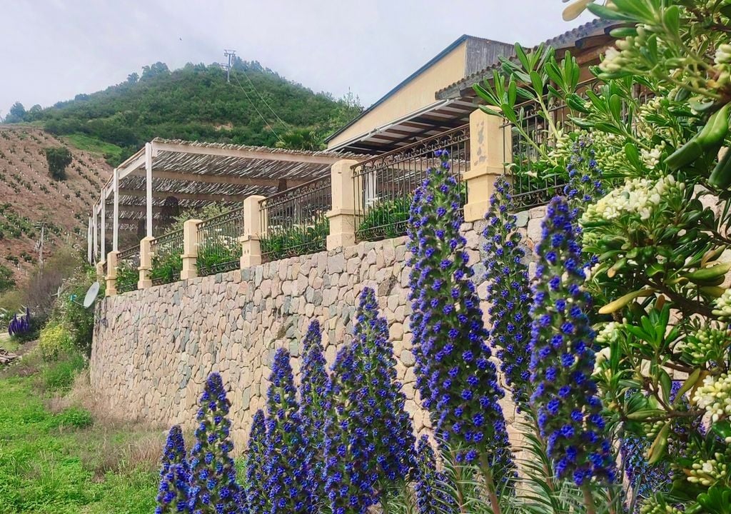 El edificio principal de la viña destaca por su diseño de inspiración colonial. Crédito: Catalina Contreras.