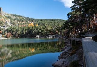 ¿Cuál es la zona más verde de España? La respuesta te sorprenderá