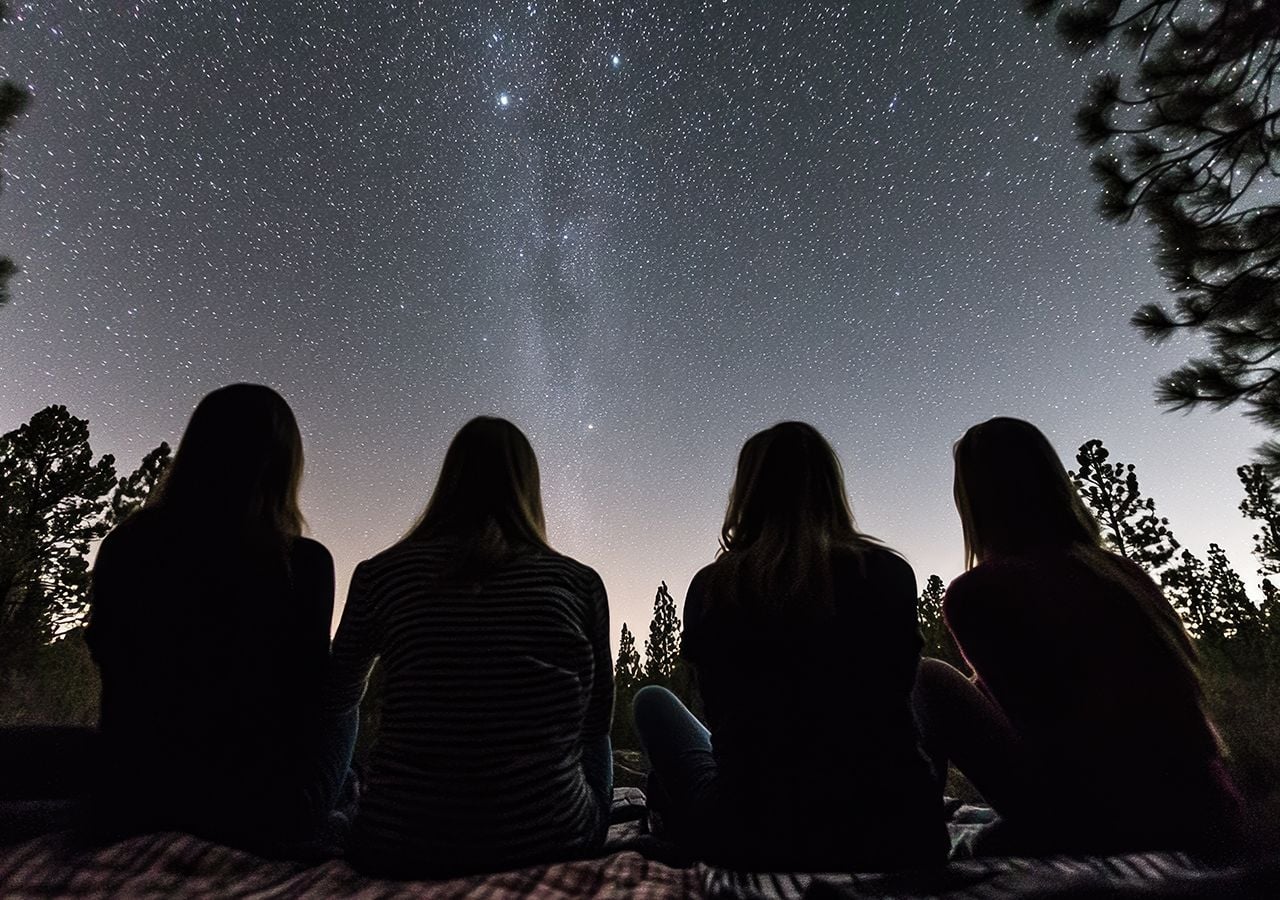 -El cosmos está dentro de nosotros. Estamos hechos de estrellas. Somos el mecanismo que permite al universo conocerse a sí mismo.-Carl Sagan.