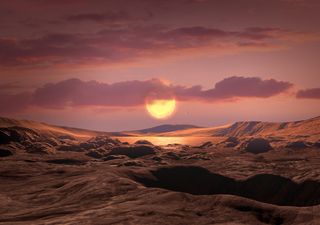 New planet discovered in a habitable zone